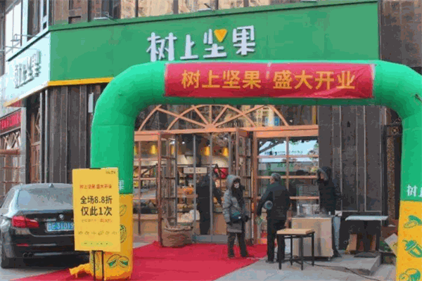 树上坚果加盟