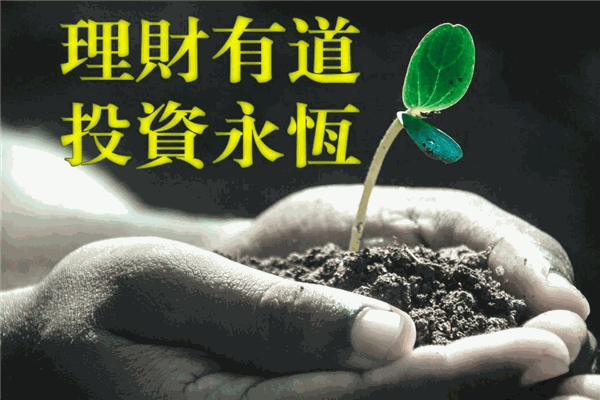 自然道理财加盟