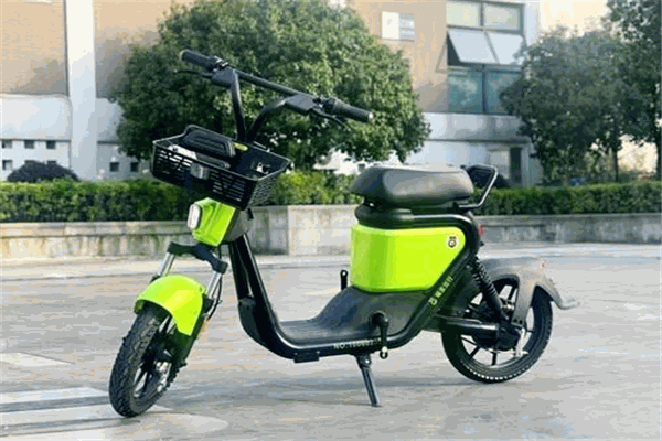 喵走出行加盟