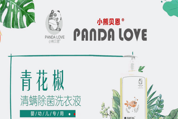 小熊贝恩加盟
