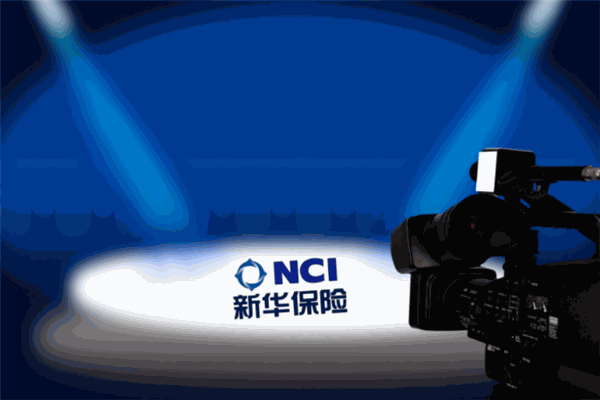 新华保险加盟