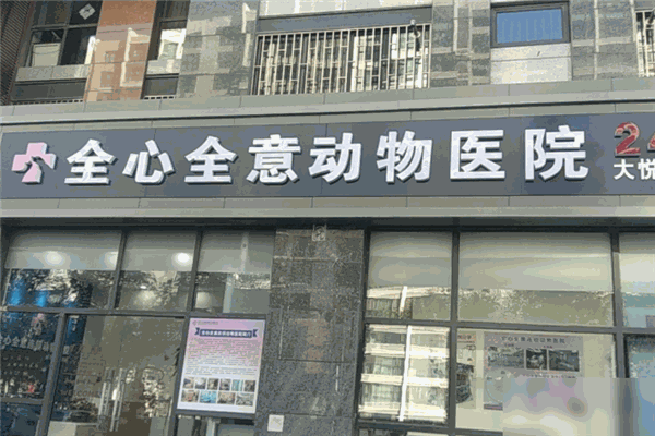 全心全意连锁动物医院加盟 全心全意连锁动物医院加盟