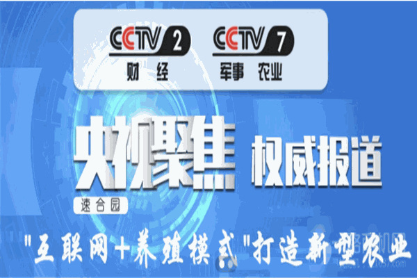 速合园加盟