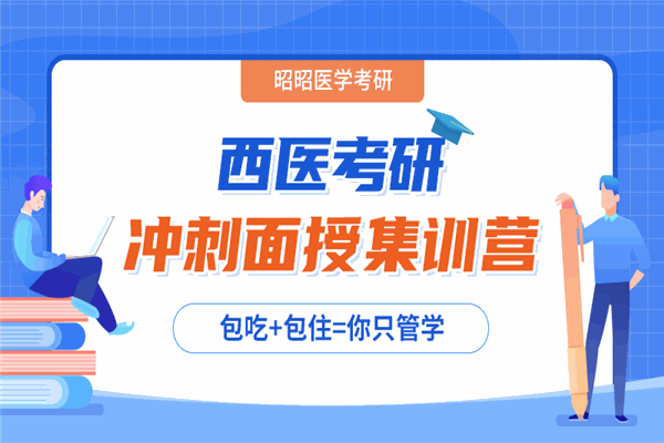 昭昭教育加盟