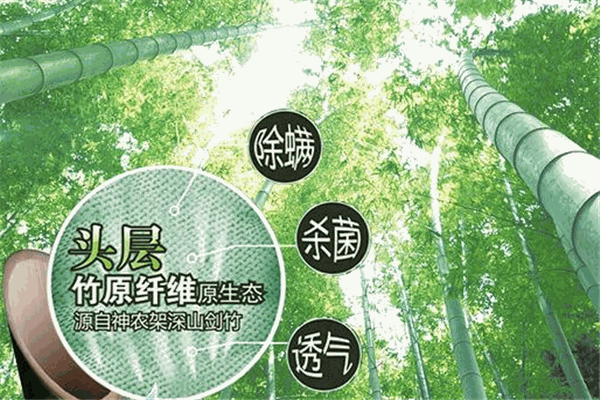 建州竹业加盟