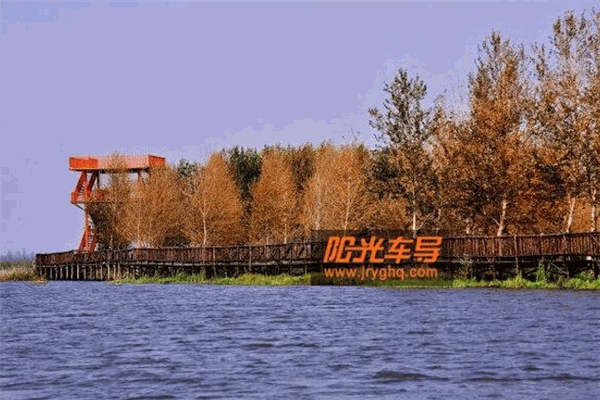 阳光车导加盟