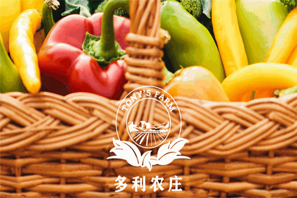 多利农庄加盟