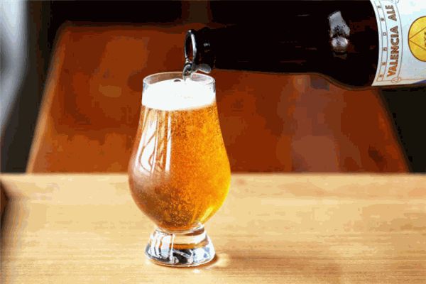寻求啤酒加盟
