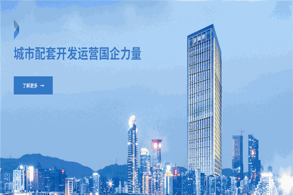 国际控股加盟