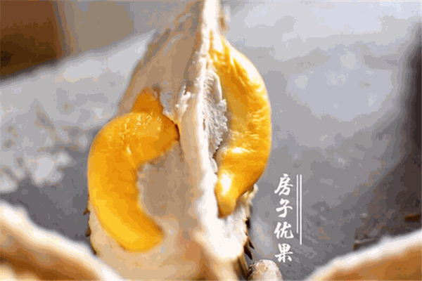 房子优果加盟