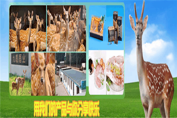 九鹿鹿业加盟