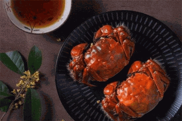 佳友蟹业加盟