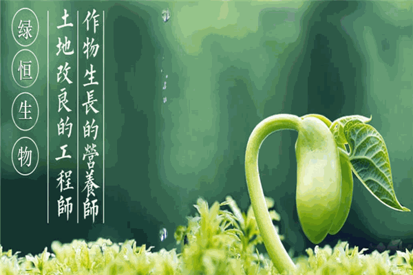 绿恒农业加盟