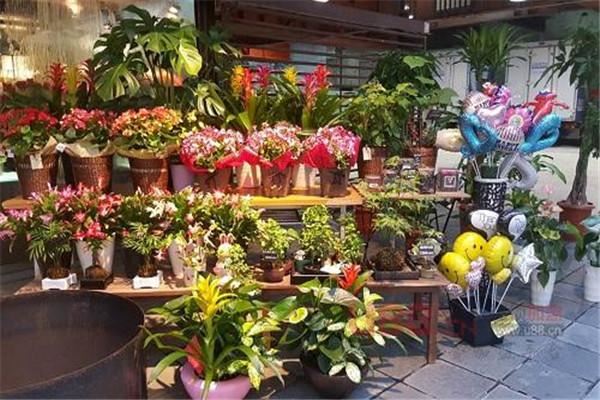 鲜花店特许经营全国加盟