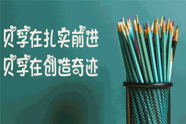 贝孚教育加盟