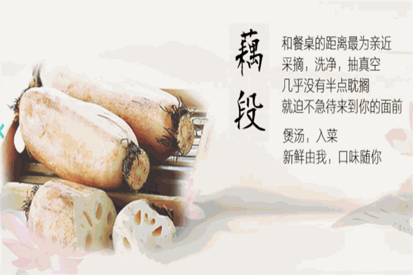 嘉珍生态农业加盟