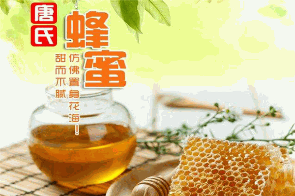 唐氏蜂业加盟