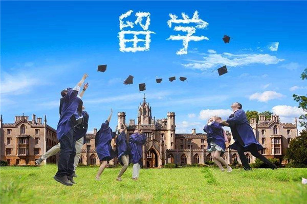 韦弦国际教育加盟