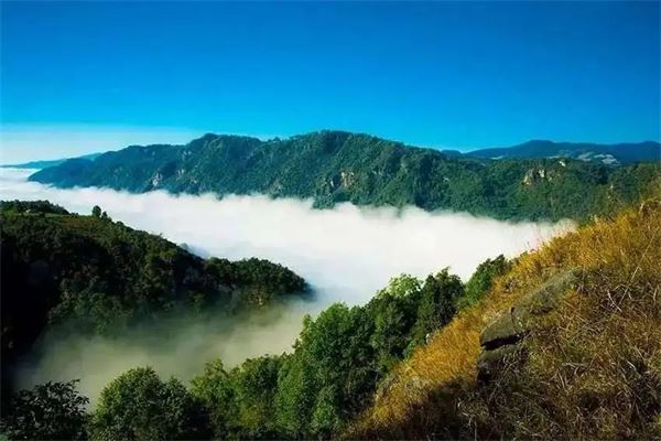 民丰旅游加盟