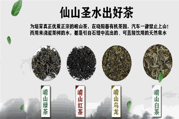 晓阳春茶叶加盟