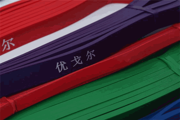 优戈尔体育加盟 优戈尔体育加盟