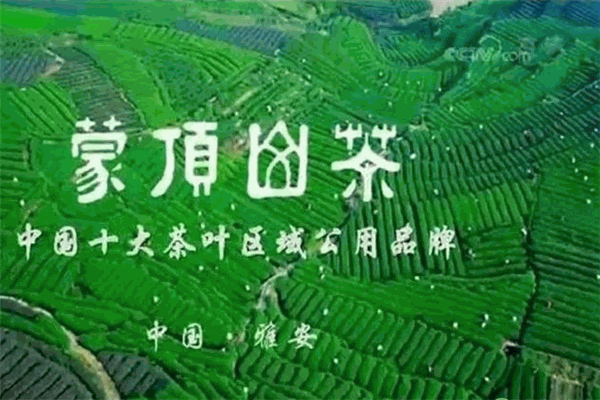 蒙顶山茶加盟
