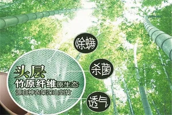 碧竹缘加盟