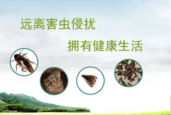 安欣有害生物防治加盟 安欣有害生物防治加盟