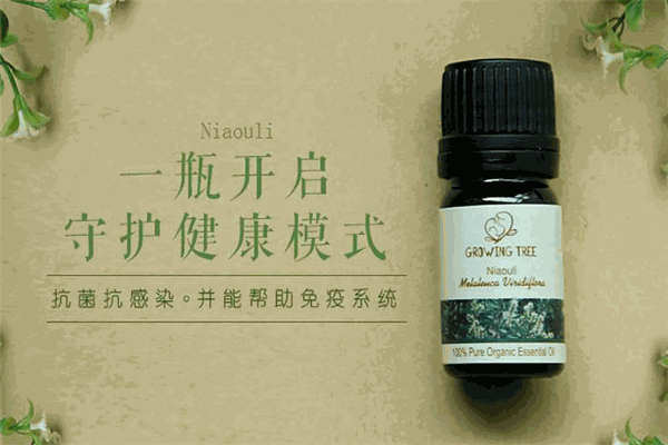 华新精油加盟