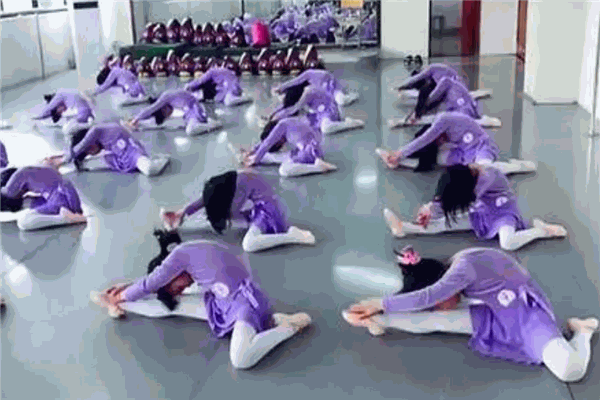 华忠舞校加盟