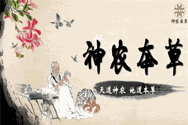 神农本草加盟