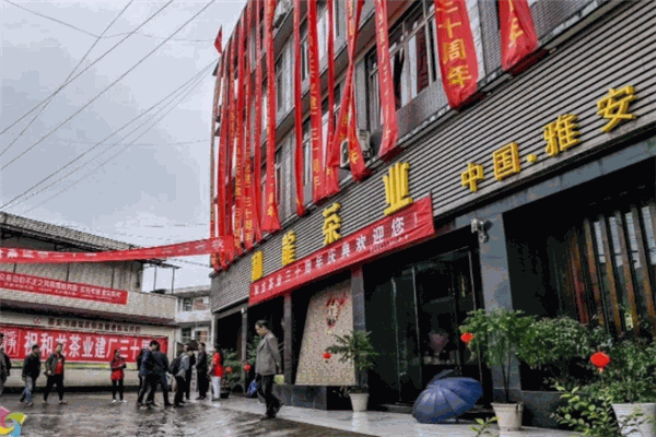 和龙茶业加盟