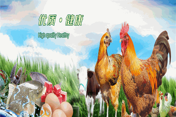 华润养殖加盟