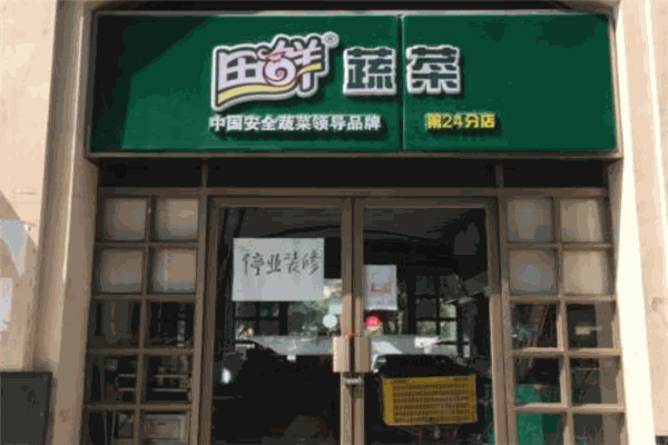 田鲜蔬菜加盟